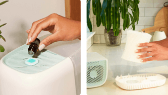 Canopy Humidifier Review 2023: Everything You Need to Know